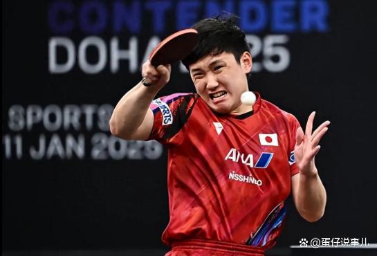 关于法国队力克瑞典队，张本智和扛起全队的信息